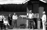 Maitolaiturimuseon kesän 2007 näyttely oli taiteilija Jukka Tuomisen tilateos Pyhä lehmä. Näyttelyä avamaassa Kaupunginvaltuuston puheenjohtaja Pekka Paavola